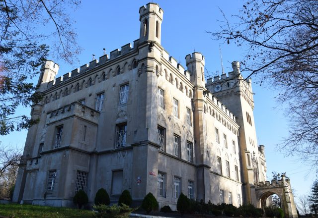 dom pomocy społecznej w jędrzejowie